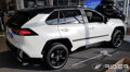 Toyota RAV4 od 2018 (F-03) - ochranné lišty dverí