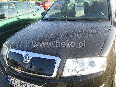 Škoda Superb I 2002-2006 - zimná clona masky Heko