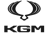 Ikona